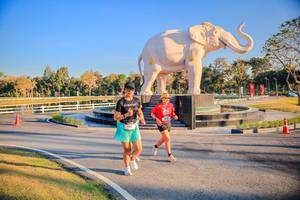 BIB: 
                            <button type="button" onclick="openModal(26186599)" class="btn btn-primary btn-sm float-right btn-popup" data-toggle="modal" data-target=".modal-high-quality">
                        <i class="fas fa-shopping-cart"></i> Add to Cart
                    </button>
                                            <button type="button" onclick="isThisMe(26186599, true)" class="btn btn-success btn-sm float-right btn-popup btn-isme hidden" data-toggle="tooltip" data-placement="bottom" title="นี่คือรูปของคุณใช่ไหม คลิกที่นี่เพื่อเอาเข้าอัลบั้ม">
                        <i class="fas fa-plus"></i> Add to album
                    </button>
                    <button type="button" onclick="isThisMe(26186599, false)" class="btn btn-warning btn-sm float-right btn-popup btn-isnotme hidden">
                        <i class="fas fa-ban"></i> Remove from album
                    </button>