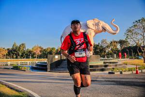 BIB: 
                            <button type="button" onclick="openModal(26186419)" class="btn btn-primary btn-sm float-right btn-popup" data-toggle="modal" data-target=".modal-high-quality">
                        <i class="fas fa-shopping-cart"></i> Add to Cart
                    </button>
                                            <button type="button" onclick="isThisMe(26186419, true)" class="btn btn-success btn-sm float-right btn-popup btn-isme hidden" data-toggle="tooltip" data-placement="bottom" title="นี่คือรูปของคุณใช่ไหม คลิกที่นี่เพื่อเอาเข้าอัลบั้ม">
                        <i class="fas fa-plus"></i> Add to album
                    </button>
                    <button type="button" onclick="isThisMe(26186419, false)" class="btn btn-warning btn-sm float-right btn-popup btn-isnotme hidden">
                        <i class="fas fa-ban"></i> Remove from album
                    </button>