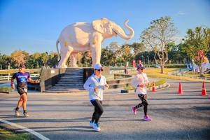 BIB: 
                            <button type="button" onclick="openModal(26186626)" class="btn btn-primary btn-sm float-right btn-popup" data-toggle="modal" data-target=".modal-high-quality">
                        <i class="fas fa-shopping-cart"></i> Add to Cart
                    </button>
                                            <button type="button" onclick="isThisMe(26186626, true)" class="btn btn-success btn-sm float-right btn-popup btn-isme hidden" data-toggle="tooltip" data-placement="bottom" title="นี่คือรูปของคุณใช่ไหม คลิกที่นี่เพื่อเอาเข้าอัลบั้ม">
                        <i class="fas fa-plus"></i> Add to album
                    </button>
                    <button type="button" onclick="isThisMe(26186626, false)" class="btn btn-warning btn-sm float-right btn-popup btn-isnotme hidden">
                        <i class="fas fa-ban"></i> Remove from album
                    </button>