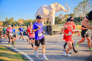 BIB: 
                            <button type="button" onclick="openModal(26186505)" class="btn btn-primary btn-sm float-right btn-popup" data-toggle="modal" data-target=".modal-high-quality">
                        <i class="fas fa-shopping-cart"></i> Add to Cart
                    </button>
                                            <button type="button" onclick="isThisMe(26186505, true)" class="btn btn-success btn-sm float-right btn-popup btn-isme hidden" data-toggle="tooltip" data-placement="bottom" title="นี่คือรูปของคุณใช่ไหม คลิกที่นี่เพื่อเอาเข้าอัลบั้ม">
                        <i class="fas fa-plus"></i> Add to album
                    </button>
                    <button type="button" onclick="isThisMe(26186505, false)" class="btn btn-warning btn-sm float-right btn-popup btn-isnotme hidden">
                        <i class="fas fa-ban"></i> Remove from album
                    </button>