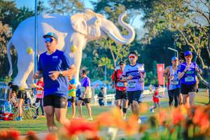 BIB: 
                            <button type="button" onclick="openModal(26184024)" class="btn btn-primary btn-sm float-right btn-popup" data-toggle="modal" data-target=".modal-high-quality">
                        <i class="fas fa-shopping-cart"></i> Add to Cart
                    </button>
                                            <button type="button" onclick="isThisMe(26184024, true)" class="btn btn-success btn-sm float-right btn-popup btn-isme hidden" data-toggle="tooltip" data-placement="bottom" title="นี่คือรูปของคุณใช่ไหม คลิกที่นี่เพื่อเอาเข้าอัลบั้ม">
                        <i class="fas fa-plus"></i> Add to album
                    </button>
                    <button type="button" onclick="isThisMe(26184024, false)" class="btn btn-warning btn-sm float-right btn-popup btn-isnotme hidden">
                        <i class="fas fa-ban"></i> Remove from album
                    </button>