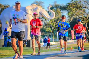 BIB: 
                            <button type="button" onclick="openModal(26183686)" class="btn btn-primary btn-sm float-right btn-popup" data-toggle="modal" data-target=".modal-high-quality">
                        <i class="fas fa-shopping-cart"></i> Add to Cart
                    </button>
                                            <button type="button" onclick="isThisMe(26183686, true)" class="btn btn-success btn-sm float-right btn-popup btn-isme hidden" data-toggle="tooltip" data-placement="bottom" title="นี่คือรูปของคุณใช่ไหม คลิกที่นี่เพื่อเอาเข้าอัลบั้ม">
                        <i class="fas fa-plus"></i> Add to album
                    </button>
                    <button type="button" onclick="isThisMe(26183686, false)" class="btn btn-warning btn-sm float-right btn-popup btn-isnotme hidden">
                        <i class="fas fa-ban"></i> Remove from album
                    </button>