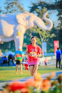 BIB: 
                            <button type="button" onclick="openModal(26183885)" class="btn btn-primary btn-sm float-right btn-popup" data-toggle="modal" data-target=".modal-high-quality">
                        <i class="fas fa-shopping-cart"></i> Add to Cart
                    </button>
                                            <button type="button" onclick="isThisMe(26183885, true)" class="btn btn-success btn-sm float-right btn-popup btn-isme hidden" data-toggle="tooltip" data-placement="bottom" title="นี่คือรูปของคุณใช่ไหม คลิกที่นี่เพื่อเอาเข้าอัลบั้ม">
                        <i class="fas fa-plus"></i> Add to album
                    </button>
                    <button type="button" onclick="isThisMe(26183885, false)" class="btn btn-warning btn-sm float-right btn-popup btn-isnotme hidden">
                        <i class="fas fa-ban"></i> Remove from album
                    </button>