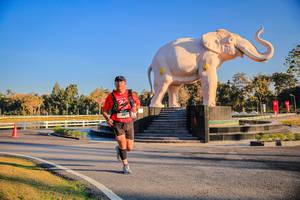 BIB: 
                            <button type="button" onclick="openModal(26186416)" class="btn btn-primary btn-sm float-right btn-popup" data-toggle="modal" data-target=".modal-high-quality">
                        <i class="fas fa-shopping-cart"></i> Add to Cart
                    </button>
                                            <button type="button" onclick="isThisMe(26186416, true)" class="btn btn-success btn-sm float-right btn-popup btn-isme hidden" data-toggle="tooltip" data-placement="bottom" title="นี่คือรูปของคุณใช่ไหม คลิกที่นี่เพื่อเอาเข้าอัลบั้ม">
                        <i class="fas fa-plus"></i> Add to album
                    </button>
                    <button type="button" onclick="isThisMe(26186416, false)" class="btn btn-warning btn-sm float-right btn-popup btn-isnotme hidden">
                        <i class="fas fa-ban"></i> Remove from album
                    </button>