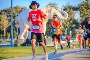 BIB: 
                            <button type="button" onclick="openModal(26183574)" class="btn btn-primary btn-sm float-right btn-popup" data-toggle="modal" data-target=".modal-high-quality">
                        <i class="fas fa-shopping-cart"></i> Add to Cart
                    </button>
                                            <button type="button" onclick="isThisMe(26183574, true)" class="btn btn-success btn-sm float-right btn-popup btn-isme hidden" data-toggle="tooltip" data-placement="bottom" title="นี่คือรูปของคุณใช่ไหม คลิกที่นี่เพื่อเอาเข้าอัลบั้ม">
                        <i class="fas fa-plus"></i> Add to album
                    </button>
                    <button type="button" onclick="isThisMe(26183574, false)" class="btn btn-warning btn-sm float-right btn-popup btn-isnotme hidden">
                        <i class="fas fa-ban"></i> Remove from album
                    </button>