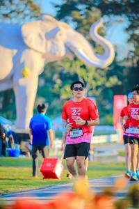 BIB: 
                            <button type="button" onclick="openModal(26183867)" class="btn btn-primary btn-sm float-right btn-popup" data-toggle="modal" data-target=".modal-high-quality">
                        <i class="fas fa-shopping-cart"></i> Add to Cart
                    </button>
                                            <button type="button" onclick="isThisMe(26183867, true)" class="btn btn-success btn-sm float-right btn-popup btn-isme hidden" data-toggle="tooltip" data-placement="bottom" title="นี่คือรูปของคุณใช่ไหม คลิกที่นี่เพื่อเอาเข้าอัลบั้ม">
                        <i class="fas fa-plus"></i> Add to album
                    </button>
                    <button type="button" onclick="isThisMe(26183867, false)" class="btn btn-warning btn-sm float-right btn-popup btn-isnotme hidden">
                        <i class="fas fa-ban"></i> Remove from album
                    </button>