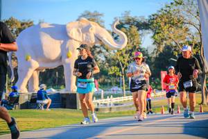 BIB: 
                            <button type="button" onclick="openModal(26183752)" class="btn btn-primary btn-sm float-right btn-popup" data-toggle="modal" data-target=".modal-high-quality">
                        <i class="fas fa-shopping-cart"></i> Add to Cart
                    </button>
                                            <button type="button" onclick="isThisMe(26183752, true)" class="btn btn-success btn-sm float-right btn-popup btn-isme hidden" data-toggle="tooltip" data-placement="bottom" title="นี่คือรูปของคุณใช่ไหม คลิกที่นี่เพื่อเอาเข้าอัลบั้ม">
                        <i class="fas fa-plus"></i> Add to album
                    </button>
                    <button type="button" onclick="isThisMe(26183752, false)" class="btn btn-warning btn-sm float-right btn-popup btn-isnotme hidden">
                        <i class="fas fa-ban"></i> Remove from album
                    </button>