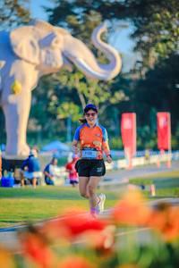 BIB: 
                            <button type="button" onclick="openModal(26183918)" class="btn btn-primary btn-sm float-right btn-popup" data-toggle="modal" data-target=".modal-high-quality">
                        <i class="fas fa-shopping-cart"></i> Add to Cart
                    </button>
                                            <button type="button" onclick="isThisMe(26183918, true)" class="btn btn-success btn-sm float-right btn-popup btn-isme hidden" data-toggle="tooltip" data-placement="bottom" title="นี่คือรูปของคุณใช่ไหม คลิกที่นี่เพื่อเอาเข้าอัลบั้ม">
                        <i class="fas fa-plus"></i> Add to album
                    </button>
                    <button type="button" onclick="isThisMe(26183918, false)" class="btn btn-warning btn-sm float-right btn-popup btn-isnotme hidden">
                        <i class="fas fa-ban"></i> Remove from album
                    </button>