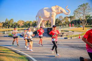 BIB: 
                            <button type="button" onclick="openModal(26186537)" class="btn btn-primary btn-sm float-right btn-popup" data-toggle="modal" data-target=".modal-high-quality">
                        <i class="fas fa-shopping-cart"></i> Add to Cart
                    </button>
                                            <button type="button" onclick="isThisMe(26186537, true)" class="btn btn-success btn-sm float-right btn-popup btn-isme hidden" data-toggle="tooltip" data-placement="bottom" title="นี่คือรูปของคุณใช่ไหม คลิกที่นี่เพื่อเอาเข้าอัลบั้ม">
                        <i class="fas fa-plus"></i> Add to album
                    </button>
                    <button type="button" onclick="isThisMe(26186537, false)" class="btn btn-warning btn-sm float-right btn-popup btn-isnotme hidden">
                        <i class="fas fa-ban"></i> Remove from album
                    </button>