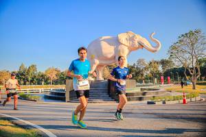 BIB: 
                            <button type="button" onclick="openModal(26186472)" class="btn btn-primary btn-sm float-right btn-popup" data-toggle="modal" data-target=".modal-high-quality">
                        <i class="fas fa-shopping-cart"></i> Add to Cart
                    </button>
                                            <button type="button" onclick="isThisMe(26186472, true)" class="btn btn-success btn-sm float-right btn-popup btn-isme hidden" data-toggle="tooltip" data-placement="bottom" title="นี่คือรูปของคุณใช่ไหม คลิกที่นี่เพื่อเอาเข้าอัลบั้ม">
                        <i class="fas fa-plus"></i> Add to album
                    </button>
                    <button type="button" onclick="isThisMe(26186472, false)" class="btn btn-warning btn-sm float-right btn-popup btn-isnotme hidden">
                        <i class="fas fa-ban"></i> Remove from album
                    </button>