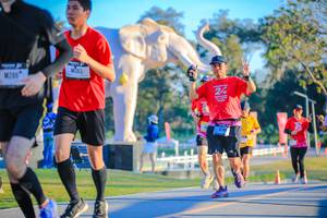 BIB: 
                            <button type="button" onclick="openModal(26183671)" class="btn btn-primary btn-sm float-right btn-popup" data-toggle="modal" data-target=".modal-high-quality">
                        <i class="fas fa-shopping-cart"></i> Add to Cart
                    </button>
                                            <button type="button" onclick="isThisMe(26183671, true)" class="btn btn-success btn-sm float-right btn-popup btn-isme hidden" data-toggle="tooltip" data-placement="bottom" title="นี่คือรูปของคุณใช่ไหม คลิกที่นี่เพื่อเอาเข้าอัลบั้ม">
                        <i class="fas fa-plus"></i> Add to album
                    </button>
                    <button type="button" onclick="isThisMe(26183671, false)" class="btn btn-warning btn-sm float-right btn-popup btn-isnotme hidden">
                        <i class="fas fa-ban"></i> Remove from album
                    </button>