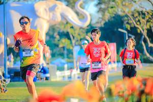 BIB: 
                            <button type="button" onclick="openModal(26183971)" class="btn btn-primary btn-sm float-right btn-popup" data-toggle="modal" data-target=".modal-high-quality">
                        <i class="fas fa-shopping-cart"></i> Add to Cart
                    </button>
                                            <button type="button" onclick="isThisMe(26183971, true)" class="btn btn-success btn-sm float-right btn-popup btn-isme hidden" data-toggle="tooltip" data-placement="bottom" title="นี่คือรูปของคุณใช่ไหม คลิกที่นี่เพื่อเอาเข้าอัลบั้ม">
                        <i class="fas fa-plus"></i> Add to album
                    </button>
                    <button type="button" onclick="isThisMe(26183971, false)" class="btn btn-warning btn-sm float-right btn-popup btn-isnotme hidden">
                        <i class="fas fa-ban"></i> Remove from album
                    </button>