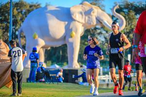 BIB: 
                            <button type="button" onclick="openModal(26183665)" class="btn btn-primary btn-sm float-right btn-popup" data-toggle="modal" data-target=".modal-high-quality">
                        <i class="fas fa-shopping-cart"></i> Add to Cart
                    </button>
                                            <button type="button" onclick="isThisMe(26183665, true)" class="btn btn-success btn-sm float-right btn-popup btn-isme hidden" data-toggle="tooltip" data-placement="bottom" title="นี่คือรูปของคุณใช่ไหม คลิกที่นี่เพื่อเอาเข้าอัลบั้ม">
                        <i class="fas fa-plus"></i> Add to album
                    </button>
                    <button type="button" onclick="isThisMe(26183665, false)" class="btn btn-warning btn-sm float-right btn-popup btn-isnotme hidden">
                        <i class="fas fa-ban"></i> Remove from album
                    </button>