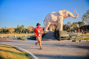 BIB: 
                            <button type="button" onclick="openModal(26186455)" class="btn btn-primary btn-sm float-right btn-popup" data-toggle="modal" data-target=".modal-high-quality">
                        <i class="fas fa-shopping-cart"></i> Add to Cart
                    </button>
                                            <button type="button" onclick="isThisMe(26186455, true)" class="btn btn-success btn-sm float-right btn-popup btn-isme hidden" data-toggle="tooltip" data-placement="bottom" title="นี่คือรูปของคุณใช่ไหม คลิกที่นี่เพื่อเอาเข้าอัลบั้ม">
                        <i class="fas fa-plus"></i> Add to album
                    </button>
                    <button type="button" onclick="isThisMe(26186455, false)" class="btn btn-warning btn-sm float-right btn-popup btn-isnotme hidden">
                        <i class="fas fa-ban"></i> Remove from album
                    </button>