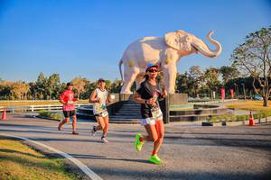 BIB: 
                            <button type="button" onclick="openModal(26186425)" class="btn btn-primary btn-sm float-right btn-popup" data-toggle="modal" data-target=".modal-high-quality">
                        <i class="fas fa-shopping-cart"></i> Add to Cart
                    </button>
                                            <button type="button" onclick="isThisMe(26186425, true)" class="btn btn-success btn-sm float-right btn-popup btn-isme hidden" data-toggle="tooltip" data-placement="bottom" title="นี่คือรูปของคุณใช่ไหม คลิกที่นี่เพื่อเอาเข้าอัลบั้ม">
                        <i class="fas fa-plus"></i> Add to album
                    </button>
                    <button type="button" onclick="isThisMe(26186425, false)" class="btn btn-warning btn-sm float-right btn-popup btn-isnotme hidden">
                        <i class="fas fa-ban"></i> Remove from album
                    </button>