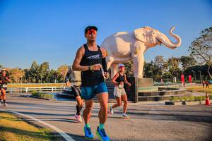 BIB: 
                            <button type="button" onclick="openModal(26186401)" class="btn btn-primary btn-sm float-right btn-popup" data-toggle="modal" data-target=".modal-high-quality">
                        <i class="fas fa-shopping-cart"></i> Add to Cart
                    </button>
                                            <button type="button" onclick="isThisMe(26186401, true)" class="btn btn-success btn-sm float-right btn-popup btn-isme hidden" data-toggle="tooltip" data-placement="bottom" title="นี่คือรูปของคุณใช่ไหม คลิกที่นี่เพื่อเอาเข้าอัลบั้ม">
                        <i class="fas fa-plus"></i> Add to album
                    </button>
                    <button type="button" onclick="isThisMe(26186401, false)" class="btn btn-warning btn-sm float-right btn-popup btn-isnotme hidden">
                        <i class="fas fa-ban"></i> Remove from album
                    </button>