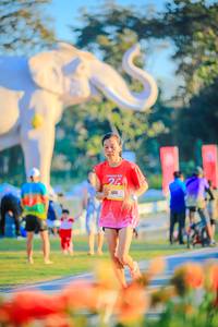 BIB: 
                            <button type="button" onclick="openModal(26183879)" class="btn btn-primary btn-sm float-right btn-popup" data-toggle="modal" data-target=".modal-high-quality">
                        <i class="fas fa-shopping-cart"></i> Add to Cart
                    </button>
                                            <button type="button" onclick="isThisMe(26183879, true)" class="btn btn-success btn-sm float-right btn-popup btn-isme hidden" data-toggle="tooltip" data-placement="bottom" title="นี่คือรูปของคุณใช่ไหม คลิกที่นี่เพื่อเอาเข้าอัลบั้ม">
                        <i class="fas fa-plus"></i> Add to album
                    </button>
                    <button type="button" onclick="isThisMe(26183879, false)" class="btn btn-warning btn-sm float-right btn-popup btn-isnotme hidden">
                        <i class="fas fa-ban"></i> Remove from album
                    </button>