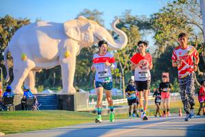 BIB: 
                            <button type="button" onclick="openModal(26183701)" class="btn btn-primary btn-sm float-right btn-popup" data-toggle="modal" data-target=".modal-high-quality">
                        <i class="fas fa-shopping-cart"></i> Add to Cart
                    </button>
                                            <button type="button" onclick="isThisMe(26183701, true)" class="btn btn-success btn-sm float-right btn-popup btn-isme hidden" data-toggle="tooltip" data-placement="bottom" title="นี่คือรูปของคุณใช่ไหม คลิกที่นี่เพื่อเอาเข้าอัลบั้ม">
                        <i class="fas fa-plus"></i> Add to album
                    </button>
                    <button type="button" onclick="isThisMe(26183701, false)" class="btn btn-warning btn-sm float-right btn-popup btn-isnotme hidden">
                        <i class="fas fa-ban"></i> Remove from album
                    </button>