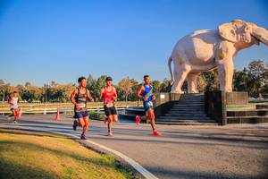 BIB: 
                            <button type="button" onclick="openModal(26186369)" class="btn btn-primary btn-sm float-right btn-popup" data-toggle="modal" data-target=".modal-high-quality">
                        <i class="fas fa-shopping-cart"></i> Add to Cart
                    </button>
                                            <button type="button" onclick="isThisMe(26186369, true)" class="btn btn-success btn-sm float-right btn-popup btn-isme hidden" data-toggle="tooltip" data-placement="bottom" title="นี่คือรูปของคุณใช่ไหม คลิกที่นี่เพื่อเอาเข้าอัลบั้ม">
                        <i class="fas fa-plus"></i> Add to album
                    </button>
                    <button type="button" onclick="isThisMe(26186369, false)" class="btn btn-warning btn-sm float-right btn-popup btn-isnotme hidden">
                        <i class="fas fa-ban"></i> Remove from album
                    </button>