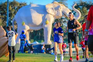 BIB: 
                            <button type="button" onclick="openModal(26183666)" class="btn btn-primary btn-sm float-right btn-popup" data-toggle="modal" data-target=".modal-high-quality">
                        <i class="fas fa-shopping-cart"></i> Add to Cart
                    </button>
                                            <button type="button" onclick="isThisMe(26183666, true)" class="btn btn-success btn-sm float-right btn-popup btn-isme hidden" data-toggle="tooltip" data-placement="bottom" title="นี่คือรูปของคุณใช่ไหม คลิกที่นี่เพื่อเอาเข้าอัลบั้ม">
                        <i class="fas fa-plus"></i> Add to album
                    </button>
                    <button type="button" onclick="isThisMe(26183666, false)" class="btn btn-warning btn-sm float-right btn-popup btn-isnotme hidden">
                        <i class="fas fa-ban"></i> Remove from album
                    </button>