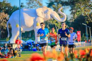 BIB: 
                            <button type="button" onclick="openModal(26183978)" class="btn btn-primary btn-sm float-right btn-popup" data-toggle="modal" data-target=".modal-high-quality">
                        <i class="fas fa-shopping-cart"></i> Add to Cart
                    </button>
                                            <button type="button" onclick="isThisMe(26183978, true)" class="btn btn-success btn-sm float-right btn-popup btn-isme hidden" data-toggle="tooltip" data-placement="bottom" title="นี่คือรูปของคุณใช่ไหม คลิกที่นี่เพื่อเอาเข้าอัลบั้ม">
                        <i class="fas fa-plus"></i> Add to album
                    </button>
                    <button type="button" onclick="isThisMe(26183978, false)" class="btn btn-warning btn-sm float-right btn-popup btn-isnotme hidden">
                        <i class="fas fa-ban"></i> Remove from album
                    </button>