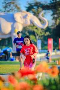 BIB: 
                            <button type="button" onclick="openModal(26183856)" class="btn btn-primary btn-sm float-right btn-popup" data-toggle="modal" data-target=".modal-high-quality">
                        <i class="fas fa-shopping-cart"></i> Add to Cart
                    </button>
                                            <button type="button" onclick="isThisMe(26183856, true)" class="btn btn-success btn-sm float-right btn-popup btn-isme hidden" data-toggle="tooltip" data-placement="bottom" title="นี่คือรูปของคุณใช่ไหม คลิกที่นี่เพื่อเอาเข้าอัลบั้ม">
                        <i class="fas fa-plus"></i> Add to album
                    </button>
                    <button type="button" onclick="isThisMe(26183856, false)" class="btn btn-warning btn-sm float-right btn-popup btn-isnotme hidden">
                        <i class="fas fa-ban"></i> Remove from album
                    </button>