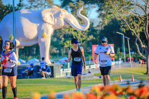 BIB: 
                            <button type="button" onclick="openModal(26183794)" class="btn btn-primary btn-sm float-right btn-popup" data-toggle="modal" data-target=".modal-high-quality">
                        <i class="fas fa-shopping-cart"></i> Add to Cart
                    </button>
                                            <button type="button" onclick="isThisMe(26183794, true)" class="btn btn-success btn-sm float-right btn-popup btn-isme hidden" data-toggle="tooltip" data-placement="bottom" title="นี่คือรูปของคุณใช่ไหม คลิกที่นี่เพื่อเอาเข้าอัลบั้ม">
                        <i class="fas fa-plus"></i> Add to album
                    </button>
                    <button type="button" onclick="isThisMe(26183794, false)" class="btn btn-warning btn-sm float-right btn-popup btn-isnotme hidden">
                        <i class="fas fa-ban"></i> Remove from album
                    </button>