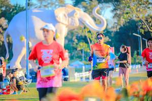 BIB: 
                            <button type="button" onclick="openModal(26183968)" class="btn btn-primary btn-sm float-right btn-popup" data-toggle="modal" data-target=".modal-high-quality">
                        <i class="fas fa-shopping-cart"></i> Add to Cart
                    </button>
                                            <button type="button" onclick="isThisMe(26183968, true)" class="btn btn-success btn-sm float-right btn-popup btn-isme hidden" data-toggle="tooltip" data-placement="bottom" title="นี่คือรูปของคุณใช่ไหม คลิกที่นี่เพื่อเอาเข้าอัลบั้ม">
                        <i class="fas fa-plus"></i> Add to album
                    </button>
                    <button type="button" onclick="isThisMe(26183968, false)" class="btn btn-warning btn-sm float-right btn-popup btn-isnotme hidden">
                        <i class="fas fa-ban"></i> Remove from album
                    </button>