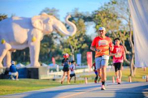 BIB: 
                            <button type="button" onclick="openModal(26183767)" class="btn btn-primary btn-sm float-right btn-popup" data-toggle="modal" data-target=".modal-high-quality">
                        <i class="fas fa-shopping-cart"></i> Add to Cart
                    </button>
                                            <button type="button" onclick="isThisMe(26183767, true)" class="btn btn-success btn-sm float-right btn-popup btn-isme hidden" data-toggle="tooltip" data-placement="bottom" title="นี่คือรูปของคุณใช่ไหม คลิกที่นี่เพื่อเอาเข้าอัลบั้ม">
                        <i class="fas fa-plus"></i> Add to album
                    </button>
                    <button type="button" onclick="isThisMe(26183767, false)" class="btn btn-warning btn-sm float-right btn-popup btn-isnotme hidden">
                        <i class="fas fa-ban"></i> Remove from album
                    </button>