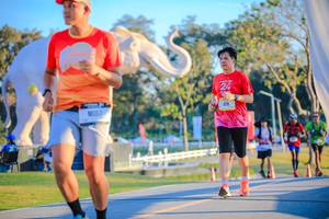 BIB: 
                            <button type="button" onclick="openModal(26183771)" class="btn btn-primary btn-sm float-right btn-popup" data-toggle="modal" data-target=".modal-high-quality">
                        <i class="fas fa-shopping-cart"></i> Add to Cart
                    </button>
                                            <button type="button" onclick="isThisMe(26183771, true)" class="btn btn-success btn-sm float-right btn-popup btn-isme hidden" data-toggle="tooltip" data-placement="bottom" title="นี่คือรูปของคุณใช่ไหม คลิกที่นี่เพื่อเอาเข้าอัลบั้ม">
                        <i class="fas fa-plus"></i> Add to album
                    </button>
                    <button type="button" onclick="isThisMe(26183771, false)" class="btn btn-warning btn-sm float-right btn-popup btn-isnotme hidden">
                        <i class="fas fa-ban"></i> Remove from album
                    </button>