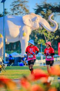 BIB: 
                            <button type="button" onclick="openModal(26183944)" class="btn btn-primary btn-sm float-right btn-popup" data-toggle="modal" data-target=".modal-high-quality">
                        <i class="fas fa-shopping-cart"></i> Add to Cart
                    </button>
                                            <button type="button" onclick="isThisMe(26183944, true)" class="btn btn-success btn-sm float-right btn-popup btn-isme hidden" data-toggle="tooltip" data-placement="bottom" title="นี่คือรูปของคุณใช่ไหม คลิกที่นี่เพื่อเอาเข้าอัลบั้ม">
                        <i class="fas fa-plus"></i> Add to album
                    </button>
                    <button type="button" onclick="isThisMe(26183944, false)" class="btn btn-warning btn-sm float-right btn-popup btn-isnotme hidden">
                        <i class="fas fa-ban"></i> Remove from album
                    </button>