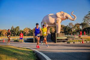 BIB: 
                            <button type="button" onclick="openModal(26186346)" class="btn btn-primary btn-sm float-right btn-popup" data-toggle="modal" data-target=".modal-high-quality">
                        <i class="fas fa-shopping-cart"></i> Add to Cart
                    </button>
                                            <button type="button" onclick="isThisMe(26186346, true)" class="btn btn-success btn-sm float-right btn-popup btn-isme hidden" data-toggle="tooltip" data-placement="bottom" title="นี่คือรูปของคุณใช่ไหม คลิกที่นี่เพื่อเอาเข้าอัลบั้ม">
                        <i class="fas fa-plus"></i> Add to album
                    </button>
                    <button type="button" onclick="isThisMe(26186346, false)" class="btn btn-warning btn-sm float-right btn-popup btn-isnotme hidden">
                        <i class="fas fa-ban"></i> Remove from album
                    </button>