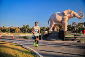 BIB: 
                            <button type="button" onclick="openModal(26186390)" class="btn btn-primary btn-sm float-right btn-popup" data-toggle="modal" data-target=".modal-high-quality">
                        <i class="fas fa-shopping-cart"></i> Add to Cart
                    </button>
                                            <button type="button" onclick="isThisMe(26186390, true)" class="btn btn-success btn-sm float-right btn-popup btn-isme hidden" data-toggle="tooltip" data-placement="bottom" title="นี่คือรูปของคุณใช่ไหม คลิกที่นี่เพื่อเอาเข้าอัลบั้ม">
                        <i class="fas fa-plus"></i> Add to album
                    </button>
                    <button type="button" onclick="isThisMe(26186390, false)" class="btn btn-warning btn-sm float-right btn-popup btn-isnotme hidden">
                        <i class="fas fa-ban"></i> Remove from album
                    </button>