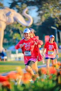 BIB: 
                            <button type="button" onclick="openModal(26183902)" class="btn btn-primary btn-sm float-right btn-popup" data-toggle="modal" data-target=".modal-high-quality">
                        <i class="fas fa-shopping-cart"></i> Add to Cart
                    </button>
                                            <button type="button" onclick="isThisMe(26183902, true)" class="btn btn-success btn-sm float-right btn-popup btn-isme hidden" data-toggle="tooltip" data-placement="bottom" title="นี่คือรูปของคุณใช่ไหม คลิกที่นี่เพื่อเอาเข้าอัลบั้ม">
                        <i class="fas fa-plus"></i> Add to album
                    </button>
                    <button type="button" onclick="isThisMe(26183902, false)" class="btn btn-warning btn-sm float-right btn-popup btn-isnotme hidden">
                        <i class="fas fa-ban"></i> Remove from album
                    </button>