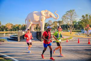 BIB: 
                            <button type="button" onclick="openModal(26186619)" class="btn btn-primary btn-sm float-right btn-popup" data-toggle="modal" data-target=".modal-high-quality">
                        <i class="fas fa-shopping-cart"></i> Add to Cart
                    </button>
                                            <button type="button" onclick="isThisMe(26186619, true)" class="btn btn-success btn-sm float-right btn-popup btn-isme hidden" data-toggle="tooltip" data-placement="bottom" title="นี่คือรูปของคุณใช่ไหม คลิกที่นี่เพื่อเอาเข้าอัลบั้ม">
                        <i class="fas fa-plus"></i> Add to album
                    </button>
                    <button type="button" onclick="isThisMe(26186619, false)" class="btn btn-warning btn-sm float-right btn-popup btn-isnotme hidden">
                        <i class="fas fa-ban"></i> Remove from album
                    </button>