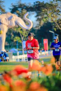 BIB: 
                            <button type="button" onclick="openModal(26183938)" class="btn btn-primary btn-sm float-right btn-popup" data-toggle="modal" data-target=".modal-high-quality">
                        <i class="fas fa-shopping-cart"></i> Add to Cart
                    </button>
                                            <button type="button" onclick="isThisMe(26183938, true)" class="btn btn-success btn-sm float-right btn-popup btn-isme hidden" data-toggle="tooltip" data-placement="bottom" title="นี่คือรูปของคุณใช่ไหม คลิกที่นี่เพื่อเอาเข้าอัลบั้ม">
                        <i class="fas fa-plus"></i> Add to album
                    </button>
                    <button type="button" onclick="isThisMe(26183938, false)" class="btn btn-warning btn-sm float-right btn-popup btn-isnotme hidden">
                        <i class="fas fa-ban"></i> Remove from album
                    </button>