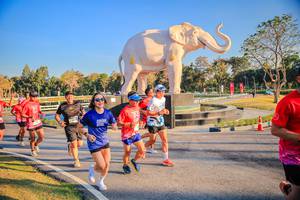 BIB: 
                            <button type="button" onclick="openModal(26186526)" class="btn btn-primary btn-sm float-right btn-popup" data-toggle="modal" data-target=".modal-high-quality">
                        <i class="fas fa-shopping-cart"></i> Add to Cart
                    </button>
                                            <button type="button" onclick="isThisMe(26186526, true)" class="btn btn-success btn-sm float-right btn-popup btn-isme hidden" data-toggle="tooltip" data-placement="bottom" title="นี่คือรูปของคุณใช่ไหม คลิกที่นี่เพื่อเอาเข้าอัลบั้ม">
                        <i class="fas fa-plus"></i> Add to album
                    </button>
                    <button type="button" onclick="isThisMe(26186526, false)" class="btn btn-warning btn-sm float-right btn-popup btn-isnotme hidden">
                        <i class="fas fa-ban"></i> Remove from album
                    </button>