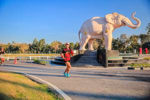 BIB: 
                            <button type="button" onclick="openModal(26186395)" class="btn btn-primary btn-sm float-right btn-popup" data-toggle="modal" data-target=".modal-high-quality">
                        <i class="fas fa-shopping-cart"></i> Add to Cart
                    </button>
                                            <button type="button" onclick="isThisMe(26186395, true)" class="btn btn-success btn-sm float-right btn-popup btn-isme hidden" data-toggle="tooltip" data-placement="bottom" title="นี่คือรูปของคุณใช่ไหม คลิกที่นี่เพื่อเอาเข้าอัลบั้ม">
                        <i class="fas fa-plus"></i> Add to album
                    </button>
                    <button type="button" onclick="isThisMe(26186395, false)" class="btn btn-warning btn-sm float-right btn-popup btn-isnotme hidden">
                        <i class="fas fa-ban"></i> Remove from album
                    </button>