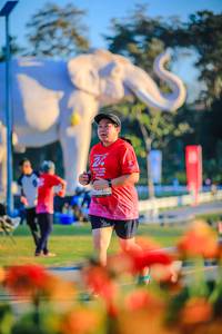 BIB: 
                            <button type="button" onclick="openModal(26183941)" class="btn btn-primary btn-sm float-right btn-popup" data-toggle="modal" data-target=".modal-high-quality">
                        <i class="fas fa-shopping-cart"></i> Add to Cart
                    </button>
                                            <button type="button" onclick="isThisMe(26183941, true)" class="btn btn-success btn-sm float-right btn-popup btn-isme hidden" data-toggle="tooltip" data-placement="bottom" title="นี่คือรูปของคุณใช่ไหม คลิกที่นี่เพื่อเอาเข้าอัลบั้ม">
                        <i class="fas fa-plus"></i> Add to album
                    </button>
                    <button type="button" onclick="isThisMe(26183941, false)" class="btn btn-warning btn-sm float-right btn-popup btn-isnotme hidden">
                        <i class="fas fa-ban"></i> Remove from album
                    </button>