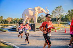 BIB: 
                            <button type="button" onclick="openModal(26186636)" class="btn btn-primary btn-sm float-right btn-popup" data-toggle="modal" data-target=".modal-high-quality">
                        <i class="fas fa-shopping-cart"></i> Add to Cart
                    </button>
                                            <button type="button" onclick="isThisMe(26186636, true)" class="btn btn-success btn-sm float-right btn-popup btn-isme hidden" data-toggle="tooltip" data-placement="bottom" title="นี่คือรูปของคุณใช่ไหม คลิกที่นี่เพื่อเอาเข้าอัลบั้ม">
                        <i class="fas fa-plus"></i> Add to album
                    </button>
                    <button type="button" onclick="isThisMe(26186636, false)" class="btn btn-warning btn-sm float-right btn-popup btn-isnotme hidden">
                        <i class="fas fa-ban"></i> Remove from album
                    </button>