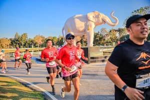 BIB: 
                            <button type="button" onclick="openModal(26186532)" class="btn btn-primary btn-sm float-right btn-popup" data-toggle="modal" data-target=".modal-high-quality">
                        <i class="fas fa-shopping-cart"></i> Add to Cart
                    </button>
                                            <button type="button" onclick="isThisMe(26186532, true)" class="btn btn-success btn-sm float-right btn-popup btn-isme hidden" data-toggle="tooltip" data-placement="bottom" title="นี่คือรูปของคุณใช่ไหม คลิกที่นี่เพื่อเอาเข้าอัลบั้ม">
                        <i class="fas fa-plus"></i> Add to album
                    </button>
                    <button type="button" onclick="isThisMe(26186532, false)" class="btn btn-warning btn-sm float-right btn-popup btn-isnotme hidden">
                        <i class="fas fa-ban"></i> Remove from album
                    </button>