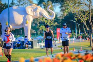 BIB: 
                            <button type="button" onclick="openModal(26183793)" class="btn btn-primary btn-sm float-right btn-popup" data-toggle="modal" data-target=".modal-high-quality">
                        <i class="fas fa-shopping-cart"></i> Add to Cart
                    </button>
                                            <button type="button" onclick="isThisMe(26183793, true)" class="btn btn-success btn-sm float-right btn-popup btn-isme hidden" data-toggle="tooltip" data-placement="bottom" title="นี่คือรูปของคุณใช่ไหม คลิกที่นี่เพื่อเอาเข้าอัลบั้ม">
                        <i class="fas fa-plus"></i> Add to album
                    </button>
                    <button type="button" onclick="isThisMe(26183793, false)" class="btn btn-warning btn-sm float-right btn-popup btn-isnotme hidden">
                        <i class="fas fa-ban"></i> Remove from album
                    </button>