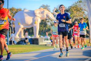 BIB: 
                            <button type="button" onclick="openModal(26183578)" class="btn btn-primary btn-sm float-right btn-popup" data-toggle="modal" data-target=".modal-high-quality">
                        <i class="fas fa-shopping-cart"></i> Add to Cart
                    </button>
                                            <button type="button" onclick="isThisMe(26183578, true)" class="btn btn-success btn-sm float-right btn-popup btn-isme hidden" data-toggle="tooltip" data-placement="bottom" title="นี่คือรูปของคุณใช่ไหม คลิกที่นี่เพื่อเอาเข้าอัลบั้ม">
                        <i class="fas fa-plus"></i> Add to album
                    </button>
                    <button type="button" onclick="isThisMe(26183578, false)" class="btn btn-warning btn-sm float-right btn-popup btn-isnotme hidden">
                        <i class="fas fa-ban"></i> Remove from album
                    </button>