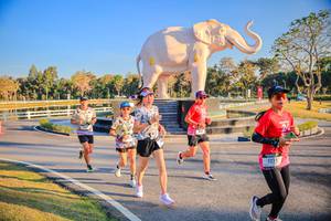 BIB: 
                            <button type="button" onclick="openModal(26186538)" class="btn btn-primary btn-sm float-right btn-popup" data-toggle="modal" data-target=".modal-high-quality">
                        <i class="fas fa-shopping-cart"></i> Add to Cart
                    </button>
                                            <button type="button" onclick="isThisMe(26186538, true)" class="btn btn-success btn-sm float-right btn-popup btn-isme hidden" data-toggle="tooltip" data-placement="bottom" title="นี่คือรูปของคุณใช่ไหม คลิกที่นี่เพื่อเอาเข้าอัลบั้ม">
                        <i class="fas fa-plus"></i> Add to album
                    </button>
                    <button type="button" onclick="isThisMe(26186538, false)" class="btn btn-warning btn-sm float-right btn-popup btn-isnotme hidden">
                        <i class="fas fa-ban"></i> Remove from album
                    </button>