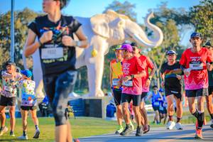 BIB: 
                            <button type="button" onclick="openModal(26183646)" class="btn btn-primary btn-sm float-right btn-popup" data-toggle="modal" data-target=".modal-high-quality">
                        <i class="fas fa-shopping-cart"></i> Add to Cart
                    </button>
                                            <button type="button" onclick="isThisMe(26183646, true)" class="btn btn-success btn-sm float-right btn-popup btn-isme hidden" data-toggle="tooltip" data-placement="bottom" title="นี่คือรูปของคุณใช่ไหม คลิกที่นี่เพื่อเอาเข้าอัลบั้ม">
                        <i class="fas fa-plus"></i> Add to album
                    </button>
                    <button type="button" onclick="isThisMe(26183646, false)" class="btn btn-warning btn-sm float-right btn-popup btn-isnotme hidden">
                        <i class="fas fa-ban"></i> Remove from album
                    </button>