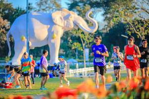 BIB: 
                            <button type="button" onclick="openModal(26184041)" class="btn btn-primary btn-sm float-right btn-popup" data-toggle="modal" data-target=".modal-high-quality">
                        <i class="fas fa-shopping-cart"></i> Add to Cart
                    </button>
                                            <button type="button" onclick="isThisMe(26184041, true)" class="btn btn-success btn-sm float-right btn-popup btn-isme hidden" data-toggle="tooltip" data-placement="bottom" title="นี่คือรูปของคุณใช่ไหม คลิกที่นี่เพื่อเอาเข้าอัลบั้ม">
                        <i class="fas fa-plus"></i> Add to album
                    </button>
                    <button type="button" onclick="isThisMe(26184041, false)" class="btn btn-warning btn-sm float-right btn-popup btn-isnotme hidden">
                        <i class="fas fa-ban"></i> Remove from album
                    </button>