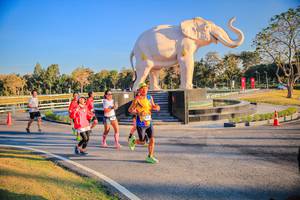 BIB: 
                            <button type="button" onclick="openModal(26186564)" class="btn btn-primary btn-sm float-right btn-popup" data-toggle="modal" data-target=".modal-high-quality">
                        <i class="fas fa-shopping-cart"></i> Add to Cart
                    </button>
                                            <button type="button" onclick="isThisMe(26186564, true)" class="btn btn-success btn-sm float-right btn-popup btn-isme hidden" data-toggle="tooltip" data-placement="bottom" title="นี่คือรูปของคุณใช่ไหม คลิกที่นี่เพื่อเอาเข้าอัลบั้ม">
                        <i class="fas fa-plus"></i> Add to album
                    </button>
                    <button type="button" onclick="isThisMe(26186564, false)" class="btn btn-warning btn-sm float-right btn-popup btn-isnotme hidden">
                        <i class="fas fa-ban"></i> Remove from album
                    </button>