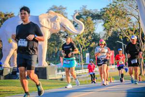 BIB: 
                            <button type="button" onclick="openModal(26183750)" class="btn btn-primary btn-sm float-right btn-popup" data-toggle="modal" data-target=".modal-high-quality">
                        <i class="fas fa-shopping-cart"></i> Add to Cart
                    </button>
                                            <button type="button" onclick="isThisMe(26183750, true)" class="btn btn-success btn-sm float-right btn-popup btn-isme hidden" data-toggle="tooltip" data-placement="bottom" title="นี่คือรูปของคุณใช่ไหม คลิกที่นี่เพื่อเอาเข้าอัลบั้ม">
                        <i class="fas fa-plus"></i> Add to album
                    </button>
                    <button type="button" onclick="isThisMe(26183750, false)" class="btn btn-warning btn-sm float-right btn-popup btn-isnotme hidden">
                        <i class="fas fa-ban"></i> Remove from album
                    </button>