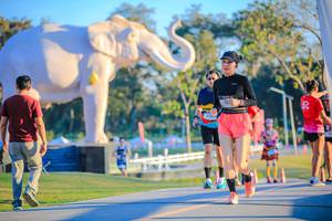 BIB: 
                            <button type="button" onclick="openModal(26183704)" class="btn btn-primary btn-sm float-right btn-popup" data-toggle="modal" data-target=".modal-high-quality">
                        <i class="fas fa-shopping-cart"></i> Add to Cart
                    </button>
                                            <button type="button" onclick="isThisMe(26183704, true)" class="btn btn-success btn-sm float-right btn-popup btn-isme hidden" data-toggle="tooltip" data-placement="bottom" title="นี่คือรูปของคุณใช่ไหม คลิกที่นี่เพื่อเอาเข้าอัลบั้ม">
                        <i class="fas fa-plus"></i> Add to album
                    </button>
                    <button type="button" onclick="isThisMe(26183704, false)" class="btn btn-warning btn-sm float-right btn-popup btn-isnotme hidden">
                        <i class="fas fa-ban"></i> Remove from album
                    </button>