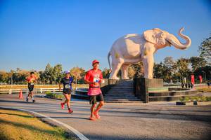 BIB: 
                            <button type="button" onclick="openModal(26186442)" class="btn btn-primary btn-sm float-right btn-popup" data-toggle="modal" data-target=".modal-high-quality">
                        <i class="fas fa-shopping-cart"></i> Add to Cart
                    </button>
                                            <button type="button" onclick="isThisMe(26186442, true)" class="btn btn-success btn-sm float-right btn-popup btn-isme hidden" data-toggle="tooltip" data-placement="bottom" title="นี่คือรูปของคุณใช่ไหม คลิกที่นี่เพื่อเอาเข้าอัลบั้ม">
                        <i class="fas fa-plus"></i> Add to album
                    </button>
                    <button type="button" onclick="isThisMe(26186442, false)" class="btn btn-warning btn-sm float-right btn-popup btn-isnotme hidden">
                        <i class="fas fa-ban"></i> Remove from album
                    </button>